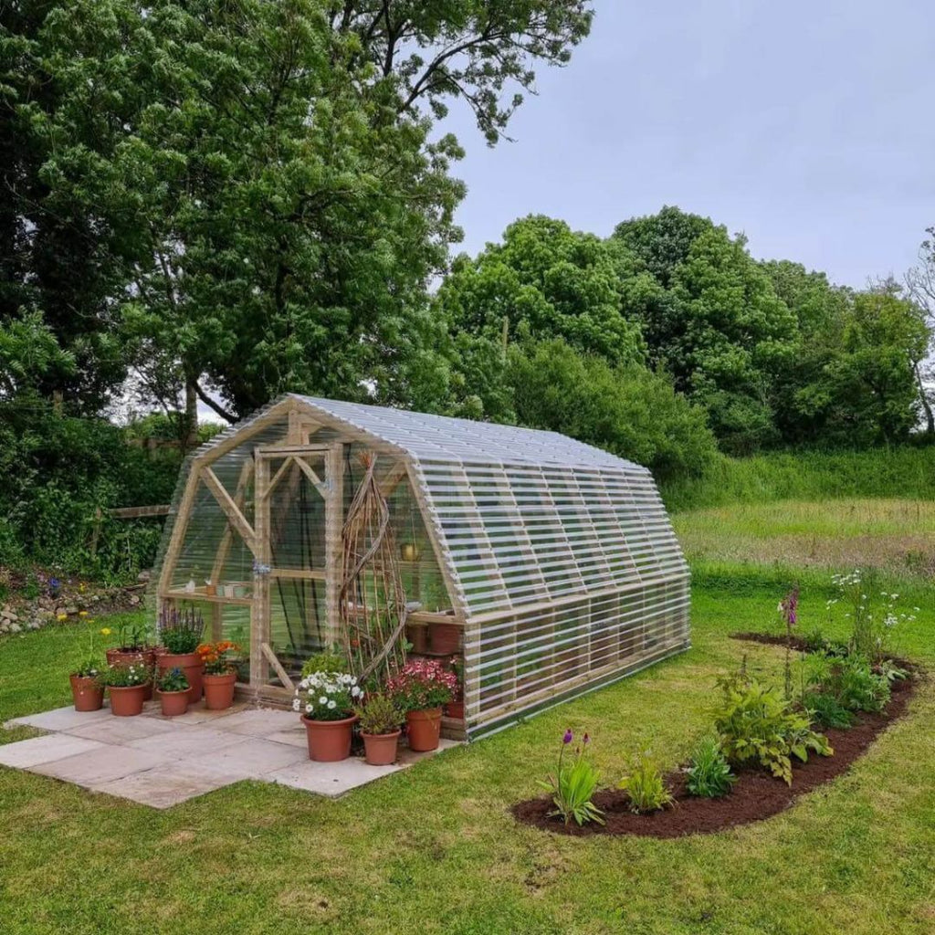 Greenhouse in  garden with plants