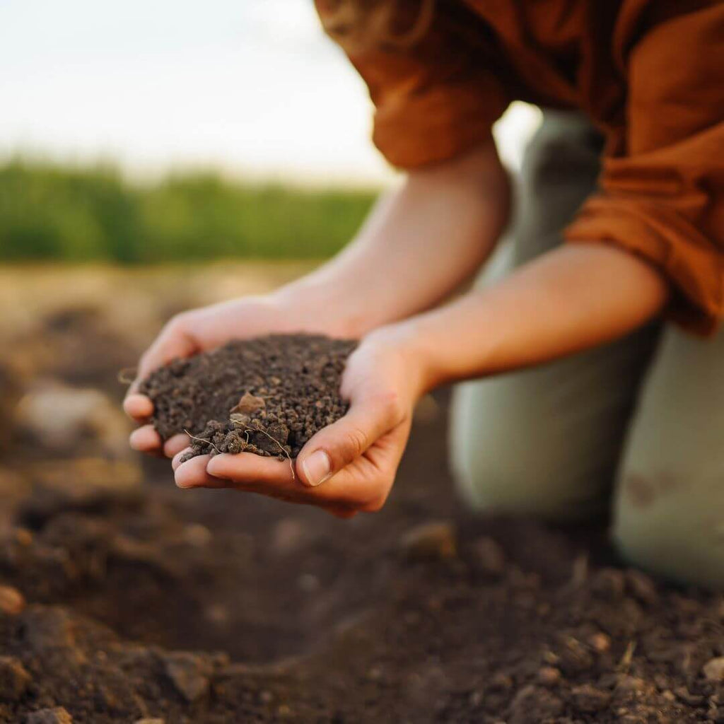 Compost for gardening