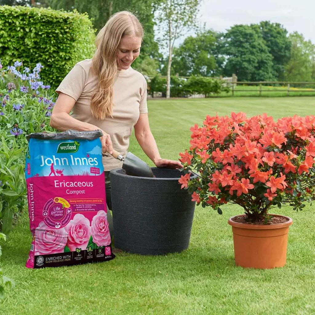 Woman planting with Ericaceous Compost